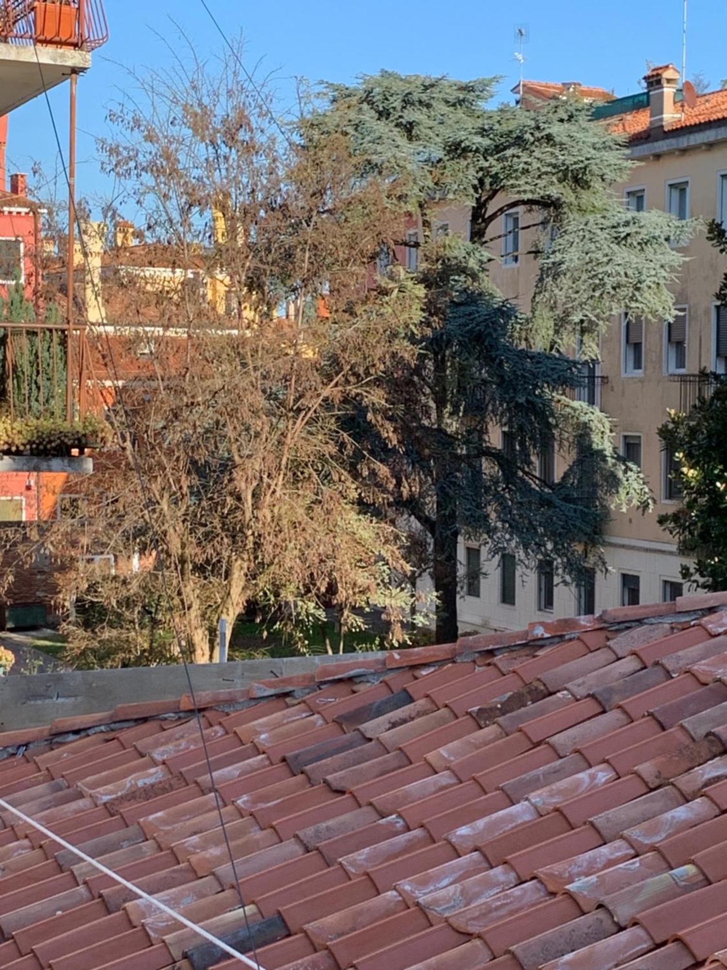 The Venetian Venecia